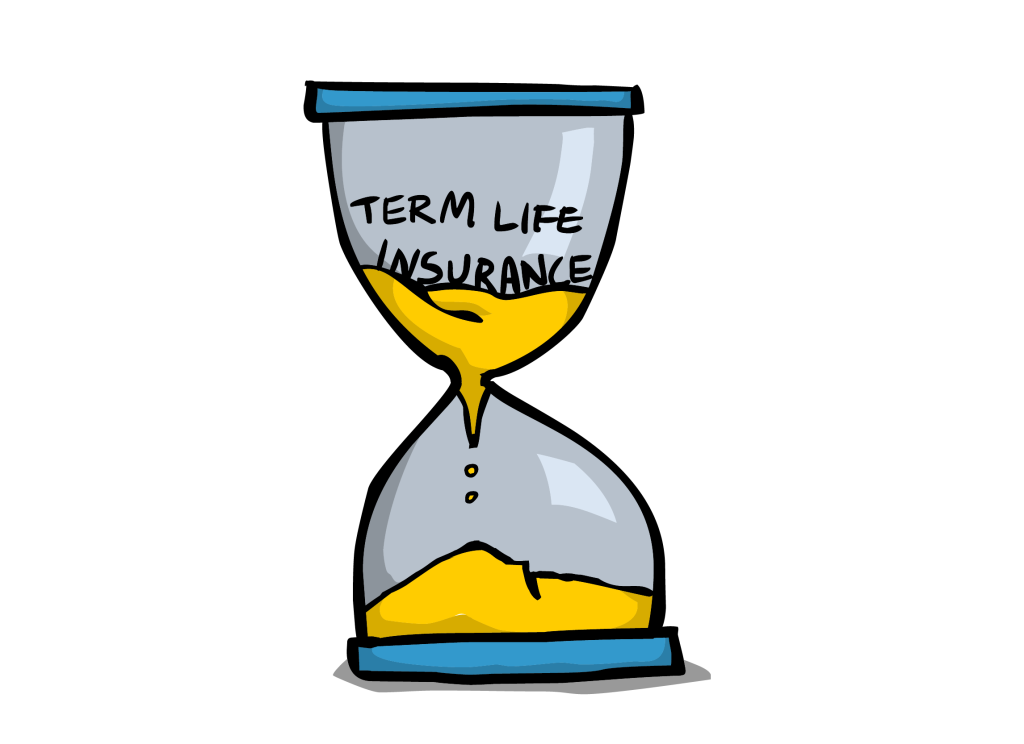 term insurance image